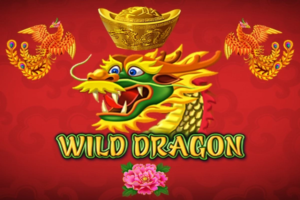 00364 wild dragon