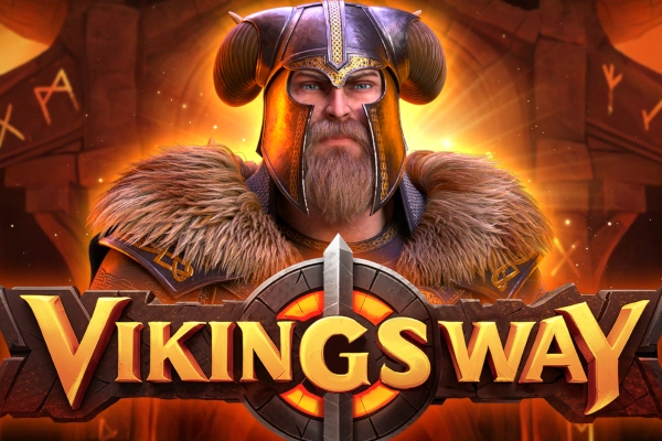 06211 vikings way