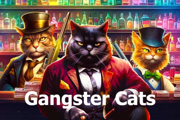 07160 gangster cats