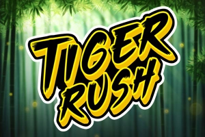24028 tiger rush